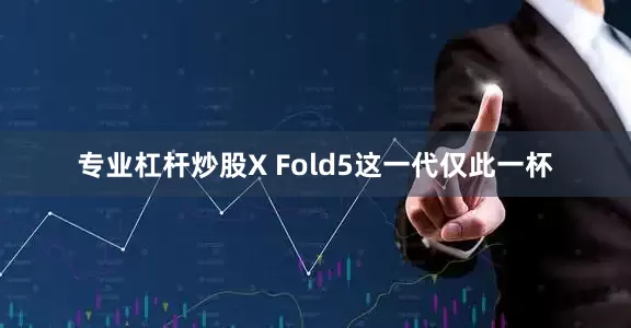 专业杠杆炒股X Fold5这一代仅此一杯